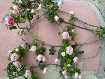 Nouveau Cercle Montesquieu